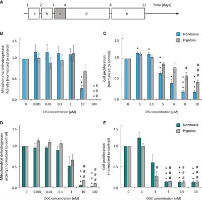 Escape From Cisplatin-Induced Senescence of Hypoxic Lung Cancer Cells Can Be Overcome by Hydroxychloroquine